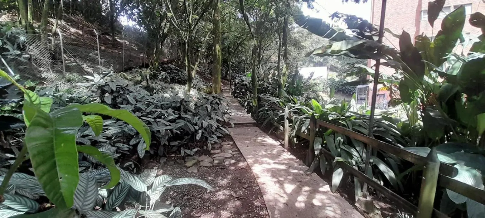 Apartment Lujoso Y Economico Apartamento Envigado