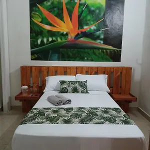 El Jardin Envigado